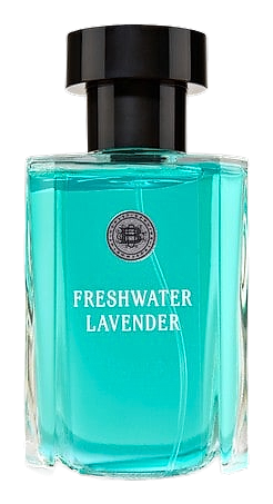 Freshwater Lavender by C.O.Bigelow