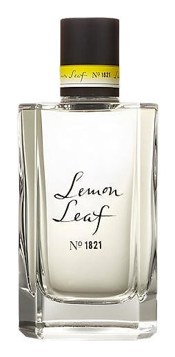 Lemon Leaf No.1821 by C.O.Bigelow