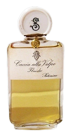 Caccia alla Volpe by Satinine
