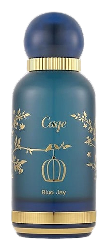 Blue Jay by Cage