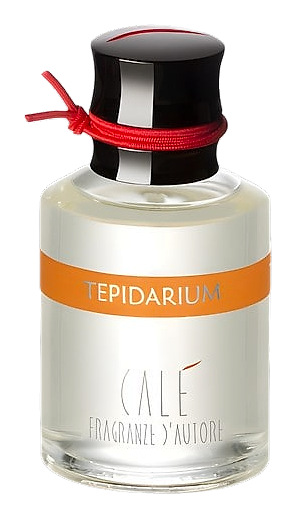 Tepidarium