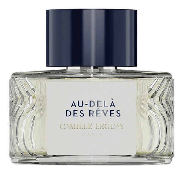 Au Delà Des Rêves by Camille Leguay