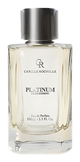 Platinum Pour Homme by Camille Rochelle