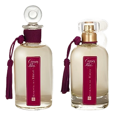 Higo by Campos de Ibiza