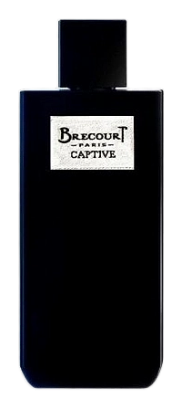 Captive by Brecourt