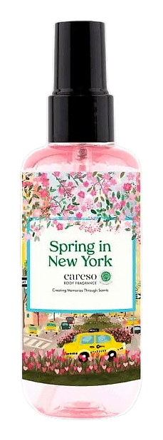 Spring in New York by Careso