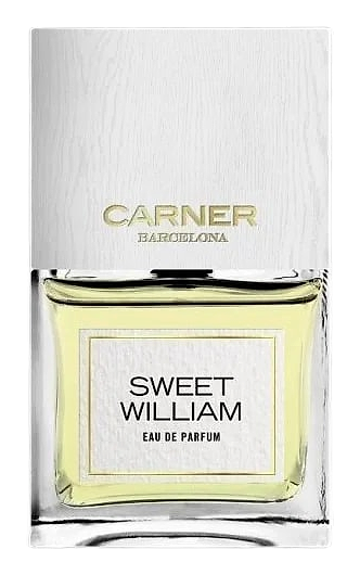 Sweet William by Carner Barcelona