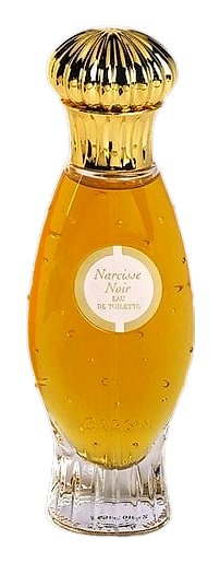 Narcisse Noir (1911) by Caron