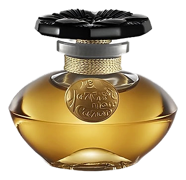 Narcisse Noir by Caron