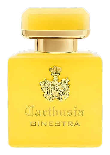 Intenso di Ginestra by Carthusia