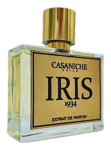 Iris 1934 by Casaniche