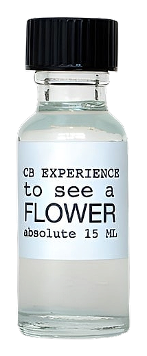 To See A Flower by CB I Hate Perfume