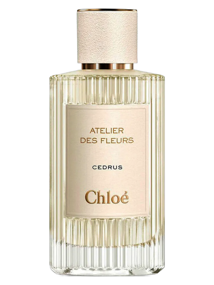 Cedrus by Chloé