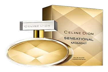 Sensational Moment by Celine Dion