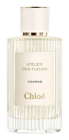 Cedrus by Chloé