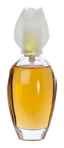 Chloé Narcisse by Chloé