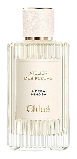Herba Mimosa by Chloé