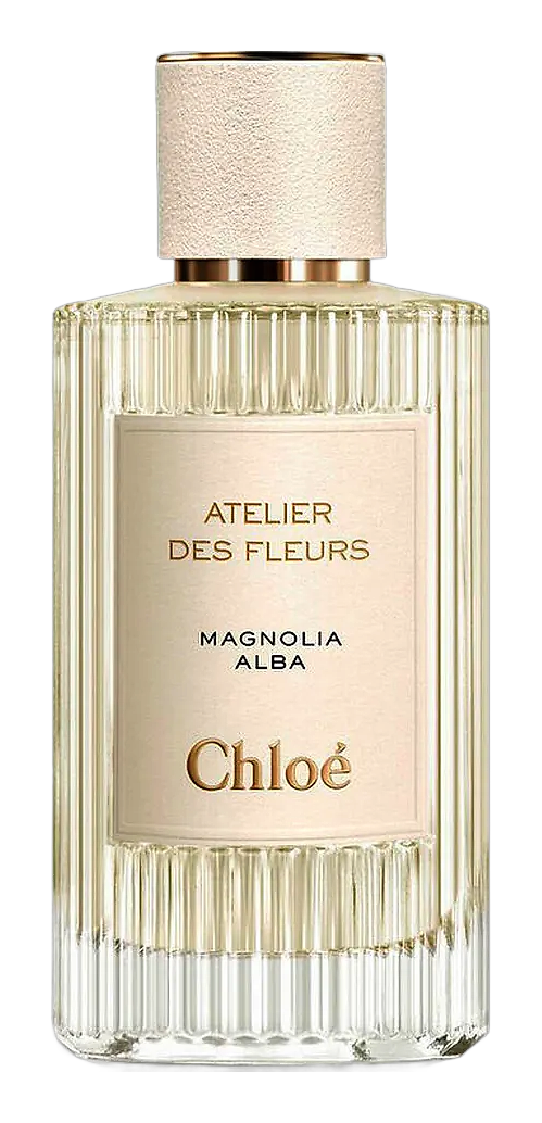 Magnolia Alba by Chloé