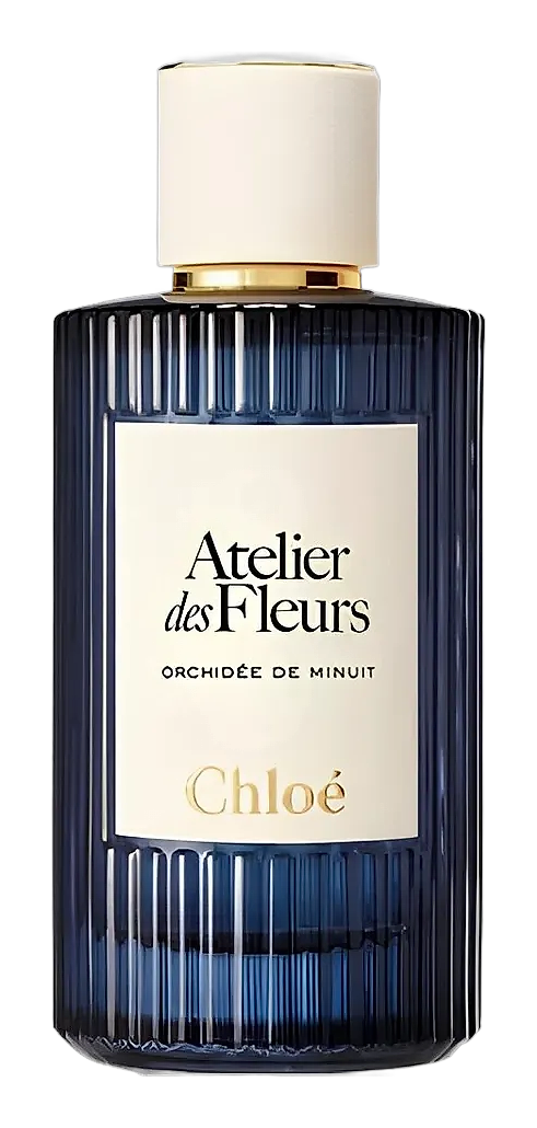 Orchidée de Minuit by Chloé