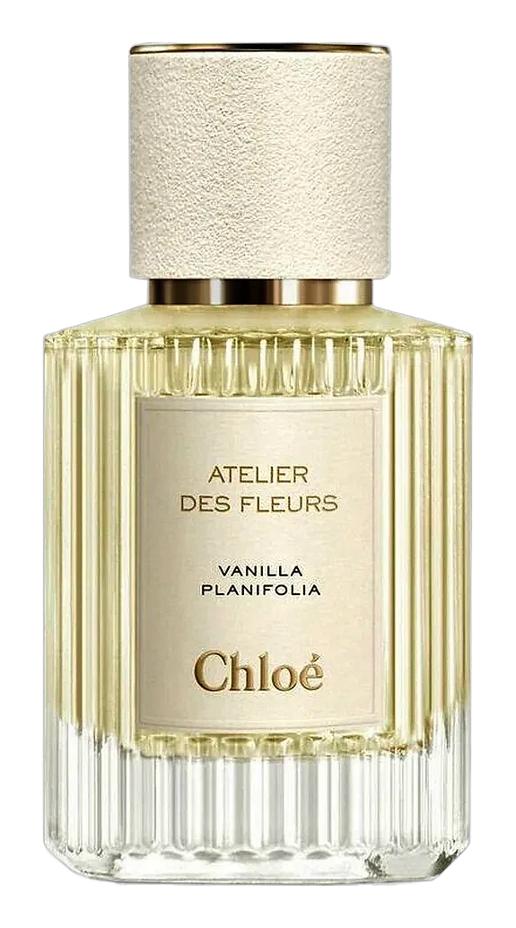 Vanilla Planifolia by Chloé