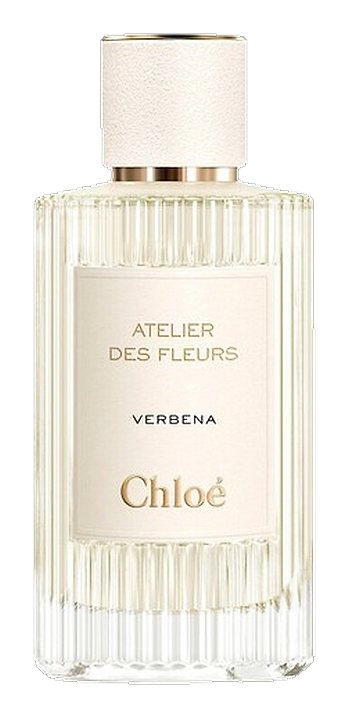 Verbena by Chloé