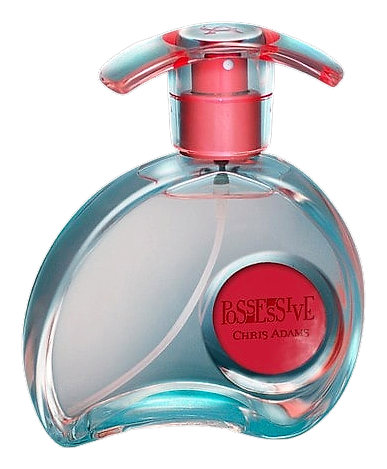 Possessive by Chris Adams
