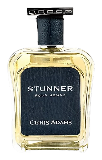 Stunner Pour Homme by Chris Adams