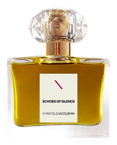 Echoes Of Silence by Christèle Jacquemin