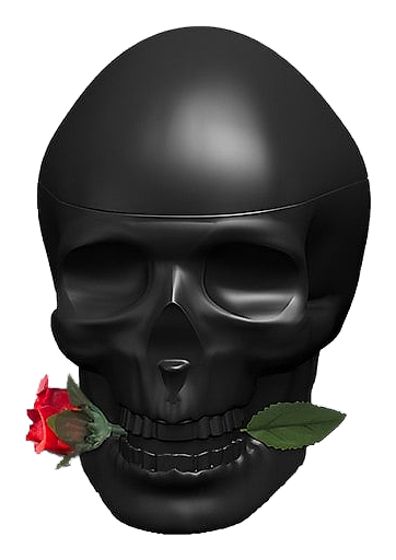 Ed Hardy Skulls & Roses For Him by Christian Audigier