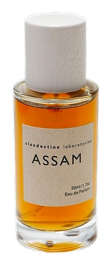 Clandestine Laboratories Assam