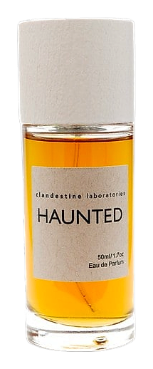 Haunted by Clandestine Laboratories