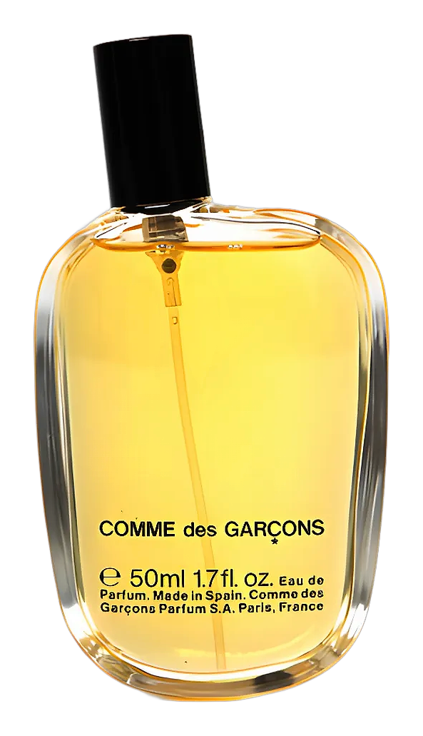 Comme des Garcons Comme des Garcons