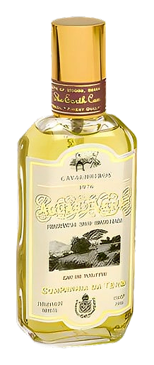 Aguas de Verao Cavalheiros by Companhia da Terra