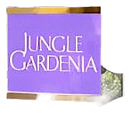 Jungle Gardenia by Coty