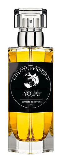 Yola by Coyotl