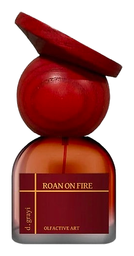 Roan on Fire by d.grayi