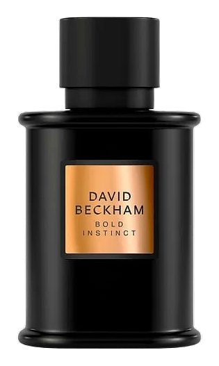 Bold Instinct by David Beckham
