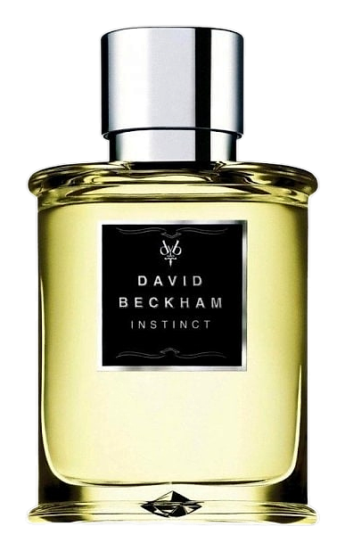 David Beckham Instinct by David Beckham – Eau de Toilette