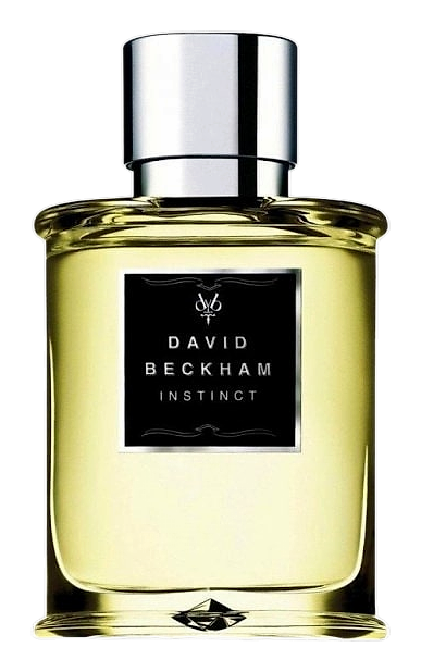 Instinct (Eau de Toilette) by David Beckham – Eau de Toilette