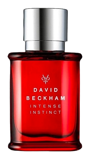 David Beckham Intense Instinct