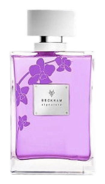 Signature for Her by David Beckham