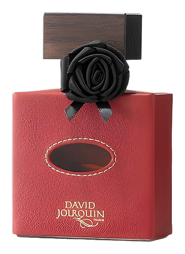 Cuir De R'eve by David Jourquin