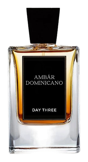 Ámbar Dominicano by Day Three