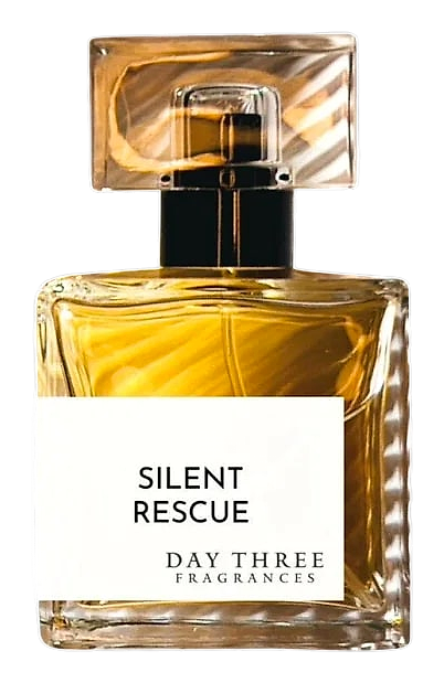 Silent Rescue by Day Three – Extrait