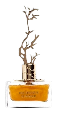 Deciduous Summer by Aurora Scents