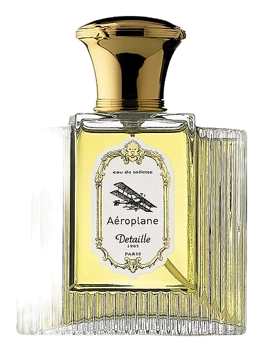 Aeroplane by Detaille