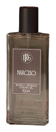 Narciso by DFG1924