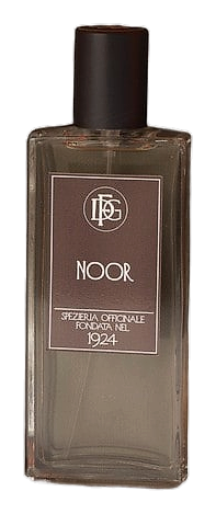 Noor by DFG1924