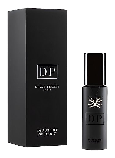 In Pursuit Of Magic by Diane Pernet