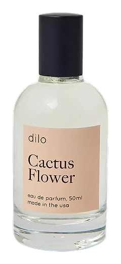 Cactus Flower